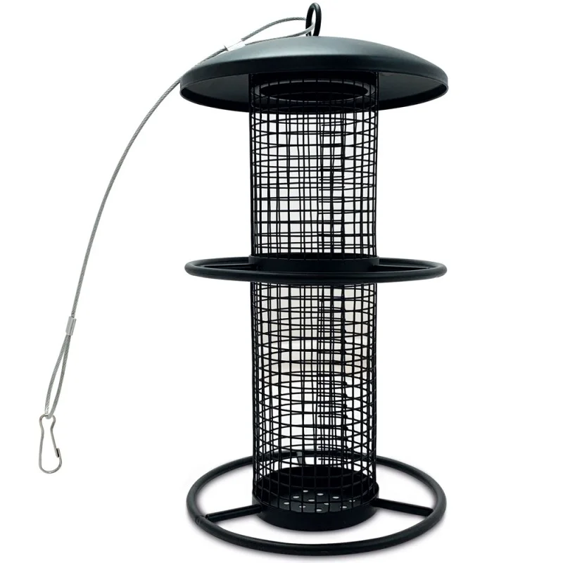 bb-loisir2662104