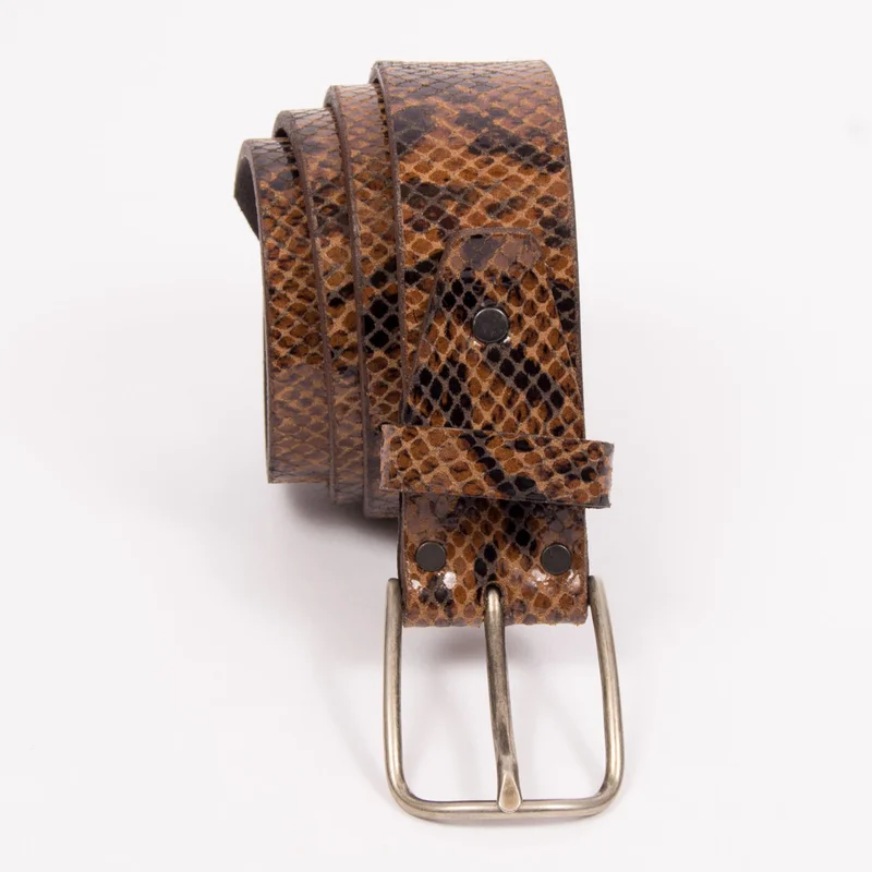 cdvshop3848393