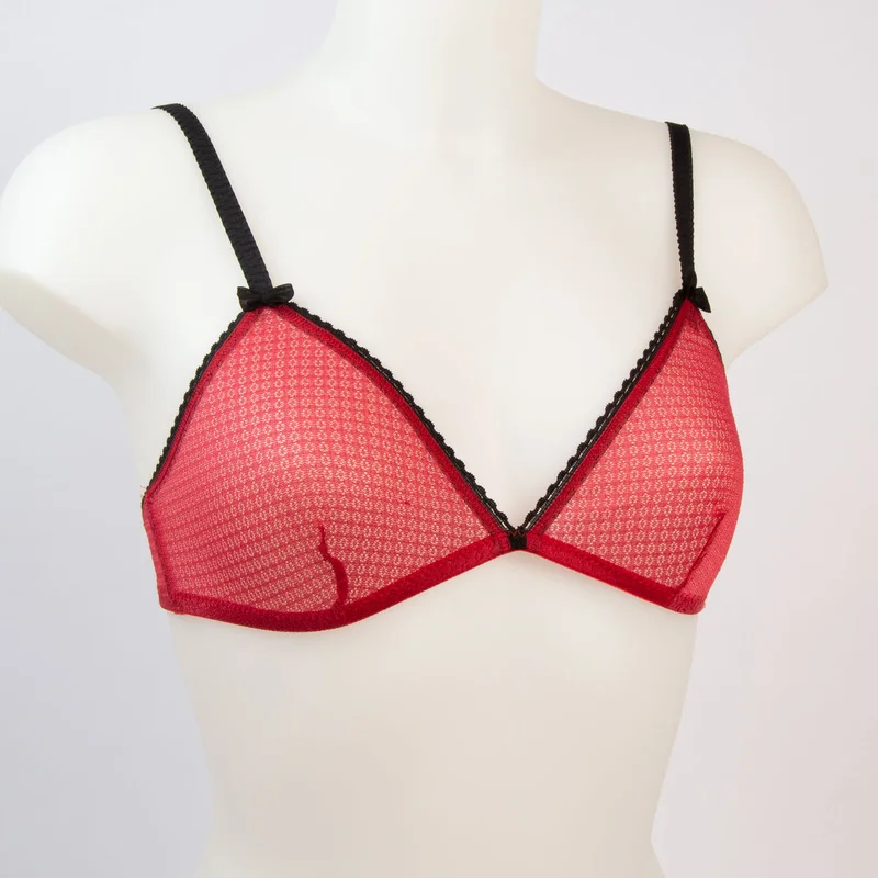 cdvshop3850331