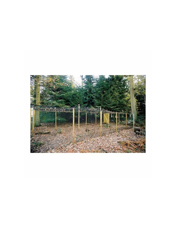 cielterre-commerce2666220
