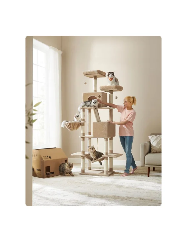 cielterre-commerce2866650