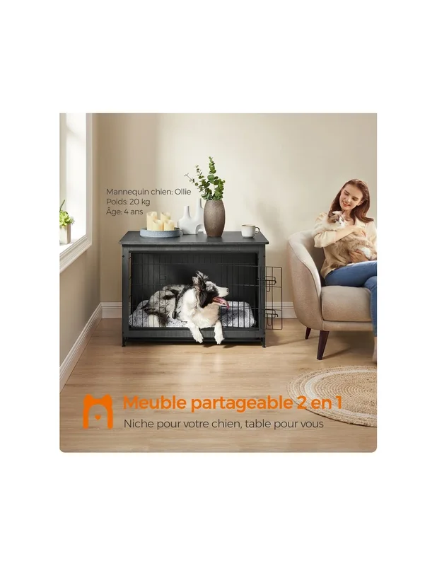 cielterre-commerce2869989