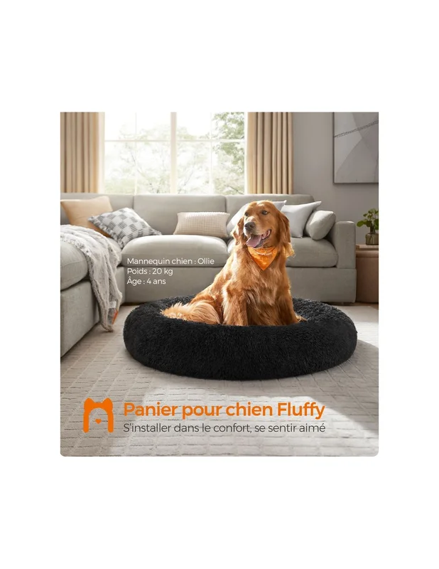 cielterre-commerce2882972