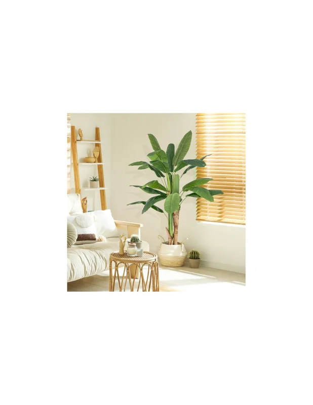 cielterre-commerce2998484