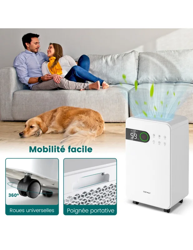 cielterre-commerce3002956