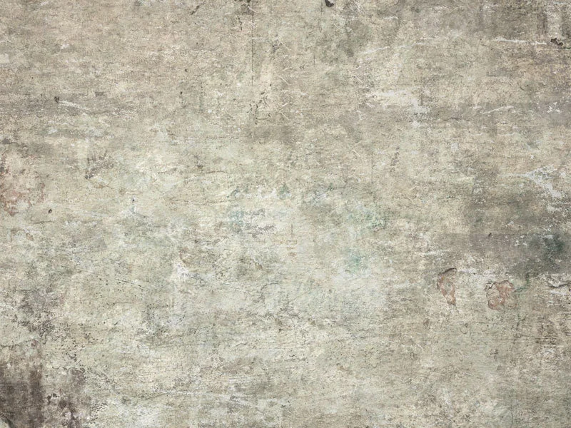 katebackdrop2656283
