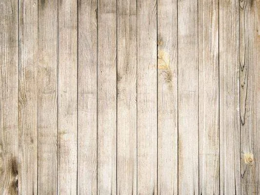 katebackdrop2660708