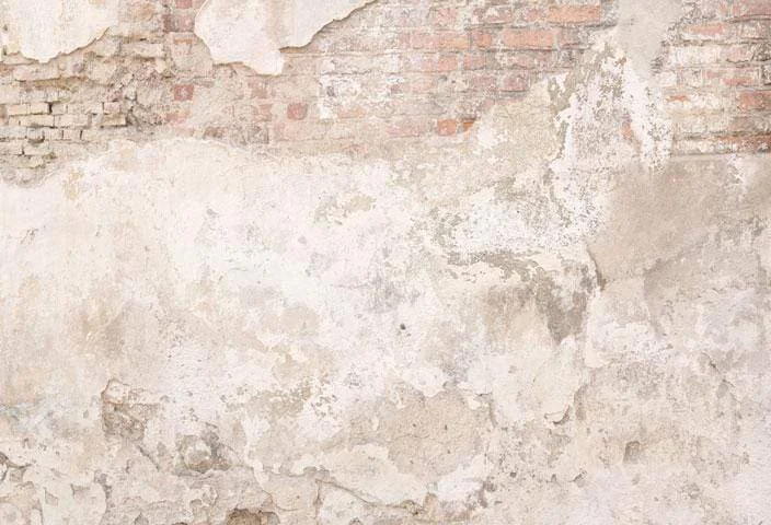 katebackdrop2662070