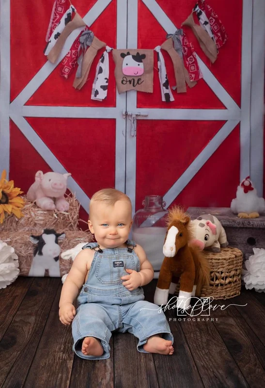 katebackdrop2664713