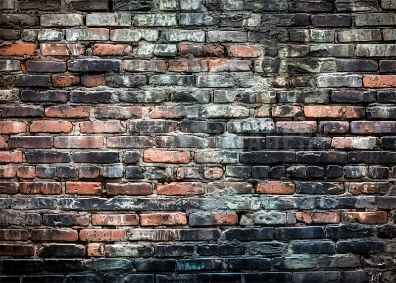 katebackdrop2681699