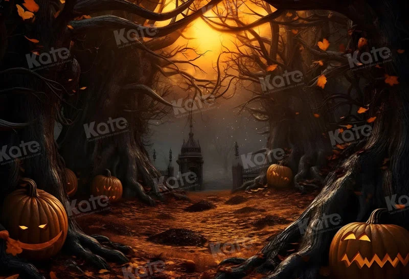 katebackdrop2683783