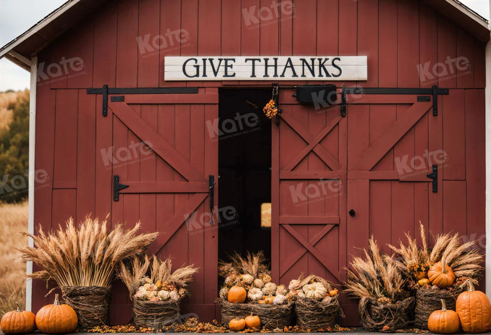 katebackdrop2698358