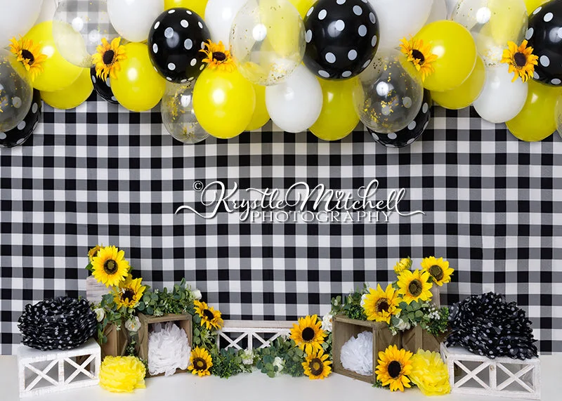katebackdrop2700447
