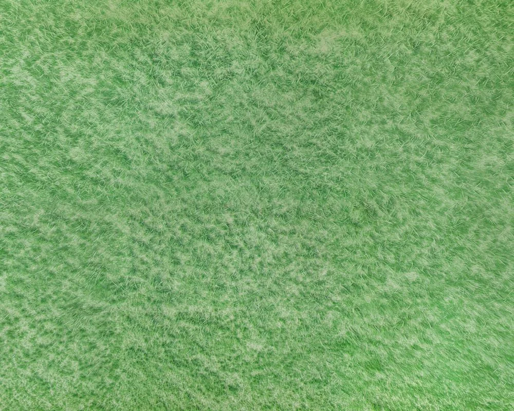 katebackdrop2719045