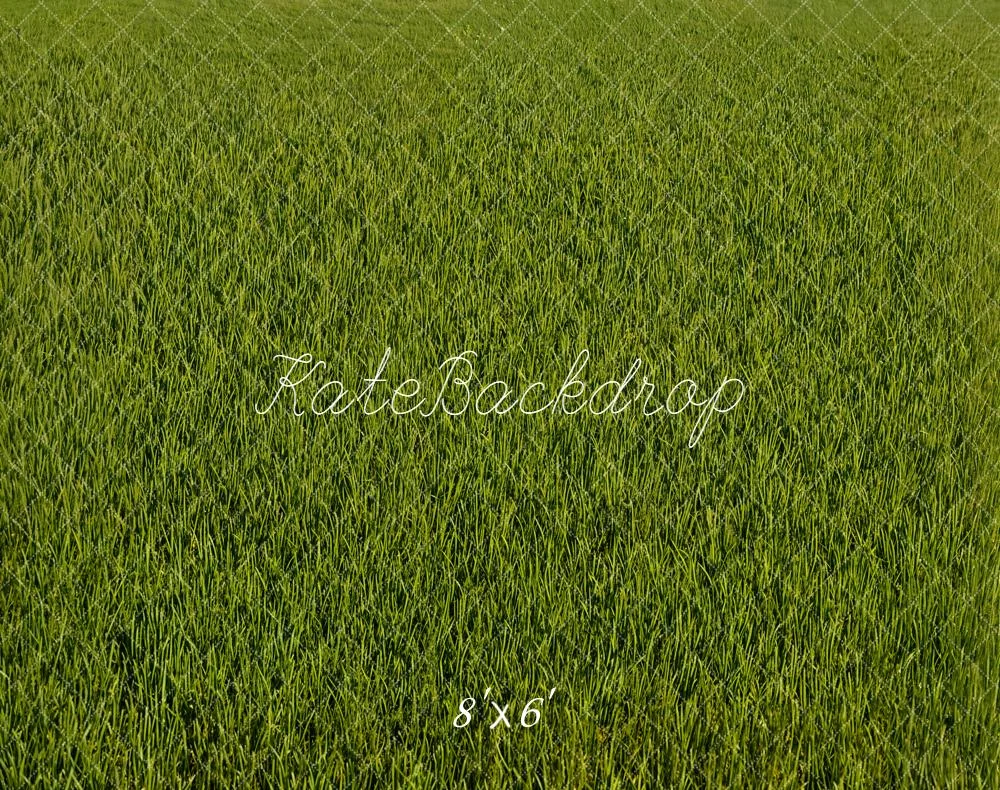 katebackdrop2733842