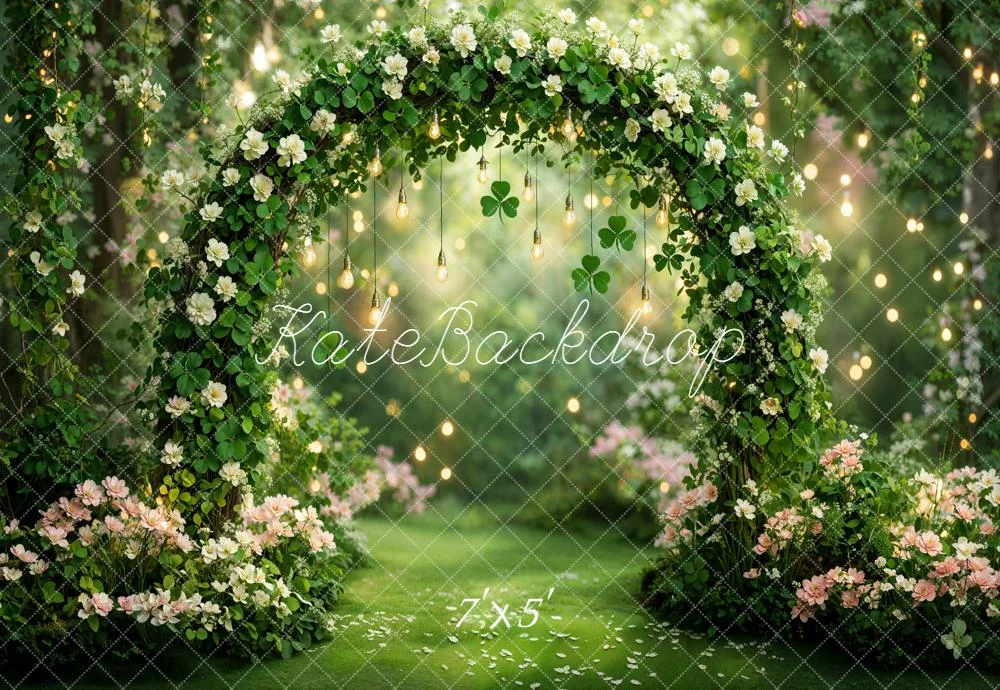 katebackdrop2742090