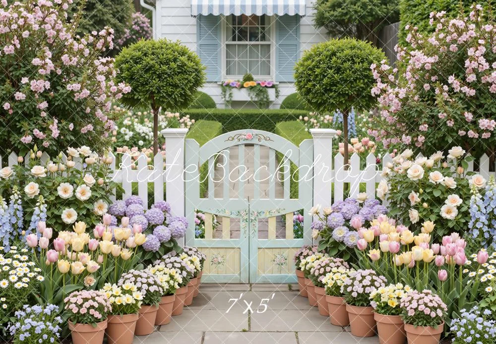 katebackdrop2746150