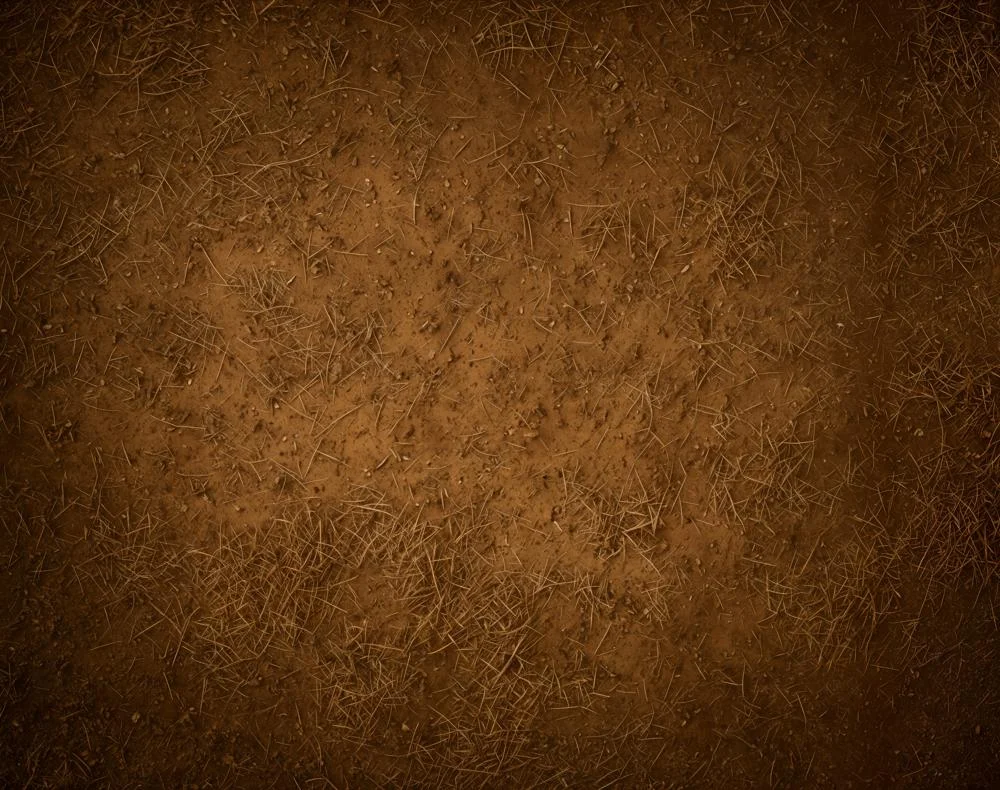 katebackdrop2754128