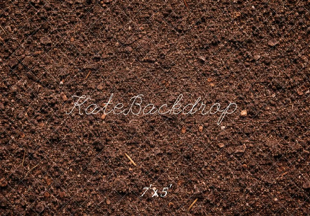 katebackdrop2759553
