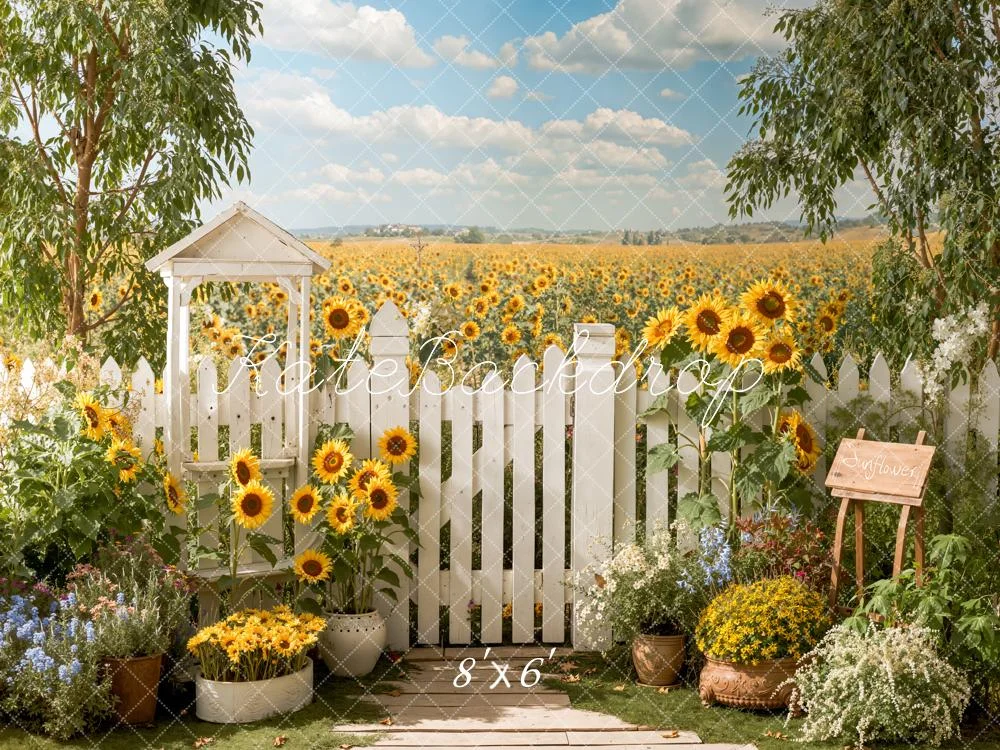 katebackdrop2761679