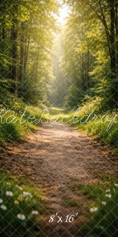 katebackdrop2762413