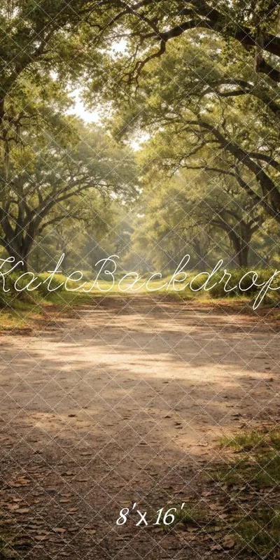 katebackdrop2762497