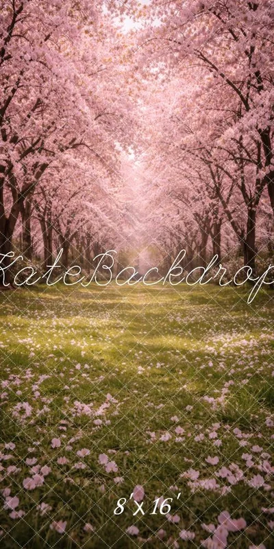 katebackdrop2762537