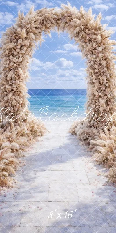 katebackdrop2765761
